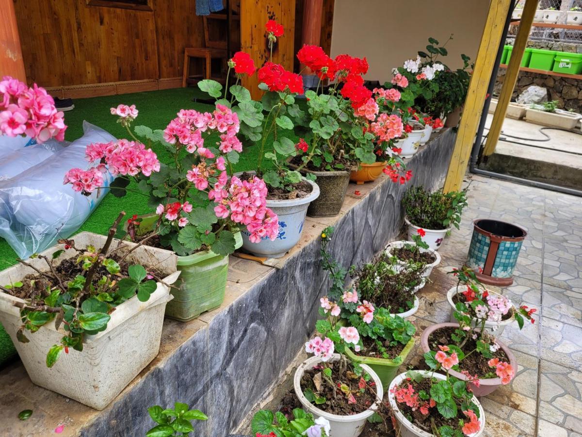 My Homestay Meo Vac Exterior foto
